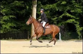 Quels sont les points cls de l' abord correct d'un obstacle ?