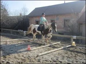 Le diagonal avec lequel on trotte gagne plus de terrain et fatigue davantage.