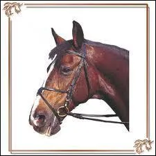 Quelle est celle-ci ?