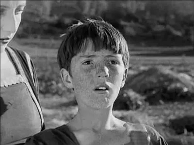 A votre avis, quel est le mammifre qui possde le systme pileux le plus important ?