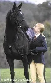 Comment s'appelle le cheval de Stphanie ?