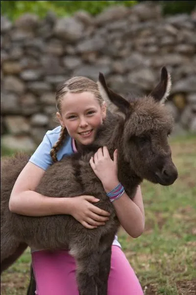 Comment s'appelle la soeur de Lisa ? 