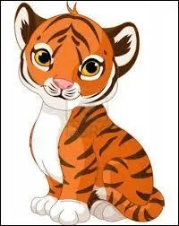 Comment se nomme le petit du tigre ?