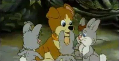 Qu'est-ce qu'un levron ?