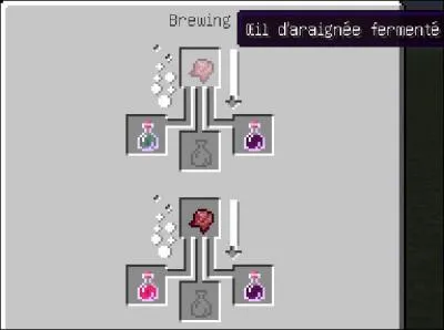 Comment fait-on un il d'araigne fermente ? 