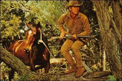 Steve MacQueen en pistolero vengeur