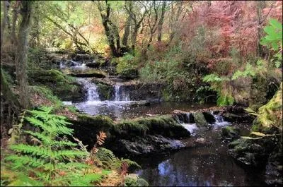 35 correspond au d�partement :