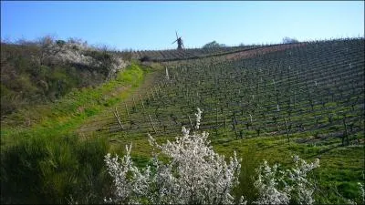 A quel d�partement est associ� le num�ro 49 ?