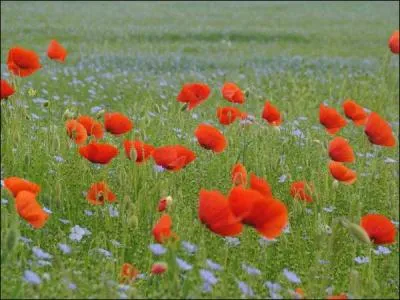 Le d�partement 17 est :