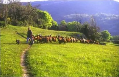 A quel d�partement est associ� le num�ro 26 ?