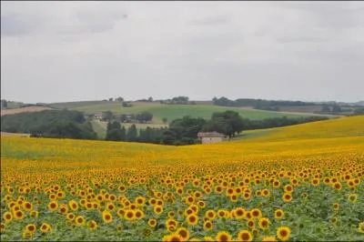 Le d�partement 32 est :