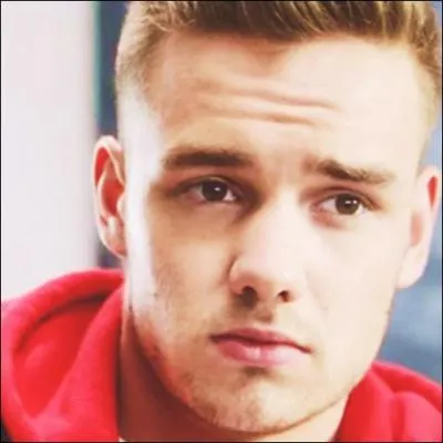 Qui casse un tableau sur la tte de Liam ?