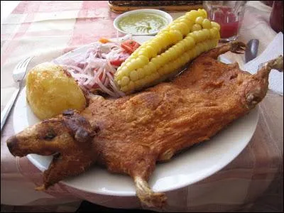 Chez nous, c'est un animal de compagnie, dans ce pays, il a intrt  se planquer, sinon il finit comme sur la photo !