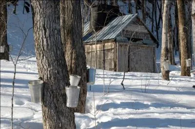 Comme je ne veux pas avoir de problmes avec eux, je vais vous demander le nom de la rgion, plutt que du pays !