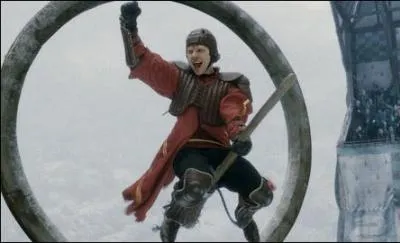 Dans le film, on voit les matchs de Quidditch, mais il manque quelque chose... Ah ! Oui, les fameux commentateurs remplaants de Lee Jordan qu'on ne voit que dans le livre et qui nous font mourir de rire. J'ai nomm :