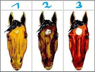 Comment appelle-t-on la marque blanche sur l'image 2 ?