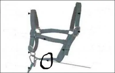 Comment se nomme la partie du licol entoure ?