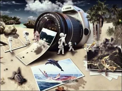 Fin - Ton voyage prend fin. Il est temps de rentrer  la maison, la tte pleine de souvenirs. Tu vas pouvoir aller raconter ton priple sur ton site de quiz favori. Quel est ce site ?