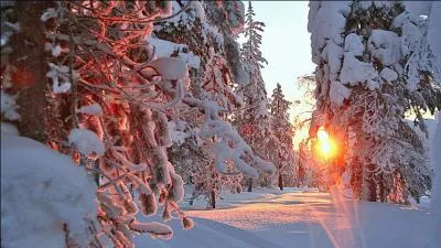 Troisime destination - Alors que tu tais en train de marcher tranquillement dans la fort et de laisser tes empreintes de pieds dans la neige, tu aperois un homme habill en rouge accompagn de son renne. O te trouves-tu ?