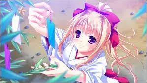 Pour cette occasion, on :