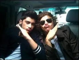 Quelles affaires appartenant  Louis ont caches Zayn et Harry ?