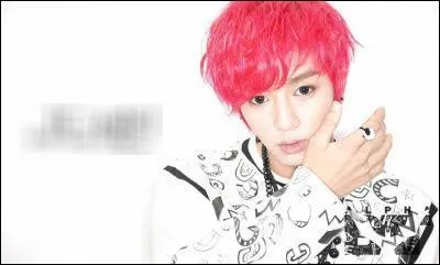 Quel membre est chanteur et est n le 5 juillet 1988 ?