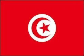 Quel pays symbolise ce drapeau ?