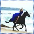 Quiz Galop 1