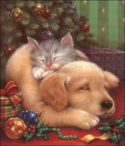 Et pour finir en paix, quelle expression franaise vous inspire cette image ?