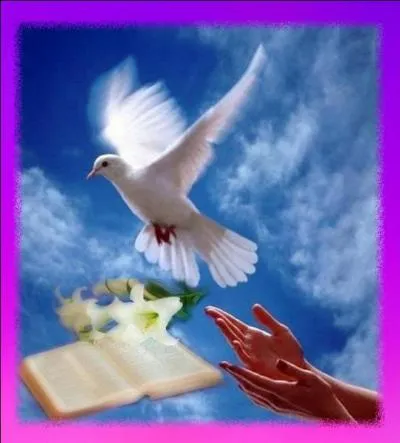 En France, quelle couleur associe-t-on  la Paix ?