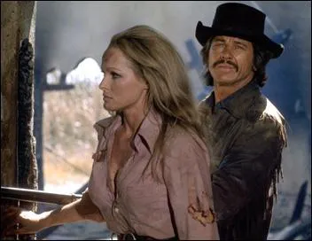 Quel est film de Terence Young avec Charles Bronson, Ursula Andress et Alain Delon ?