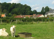 Quiz Des noms propres qui sentent la campagne