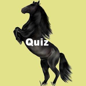 Quiz Equitation