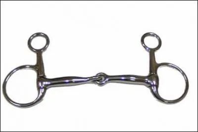 Quel est le mors reprsent ?