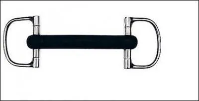 Quel est le mors reprsent ?