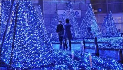 Indices : Estampes, thon rouge, carpe Ko !