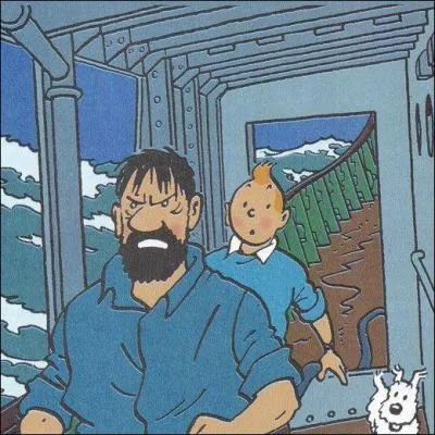 Lequel de ces navires le capitaine Haddock a-t-il command un certain temps ?