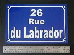 De la rue du Labrador  Moulinsart, jusqu' l'htel des sommets. Qu'est-ce qui a parcouru ce chemin ?