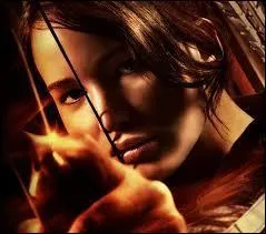 Qui est l'auteur des livres ?