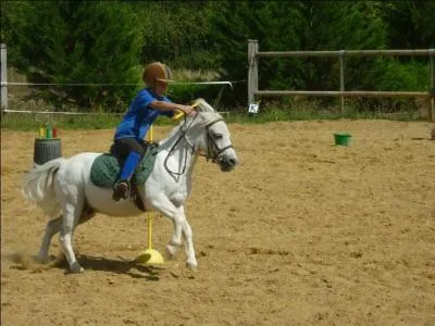 Quand on débute l'équitation comment faut-il prendre le galop ?