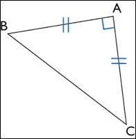 Il y a dans cette image :