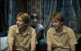 Parlons des jumeaux. Quel est leur jour de naissance ?