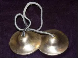 Ces trs anciennes percussions sont homonymes de reptiles pas cool du tout ?