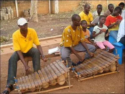 Quel est ce bel instrument  clavier africain ?