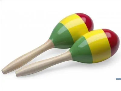 Ce mot signifie musique (ou faire de la musique) en langue tupi. Quelles sont ces jumelles originaires d'Amrique du Sud ?