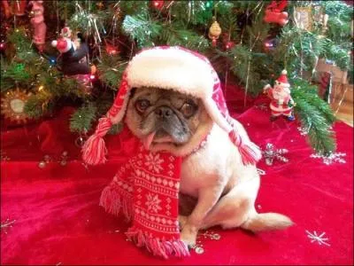 Pas idale pour la sant !