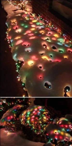 Elle rend la mer lumineuse !