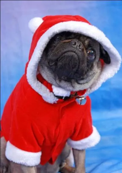 Elle ddiera sa vie  un tre immatriel !