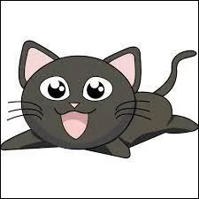 A qui pourrait ressembler ce chat ?
