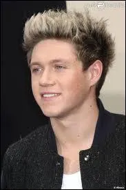 De quelle origine est Niall Horan ?